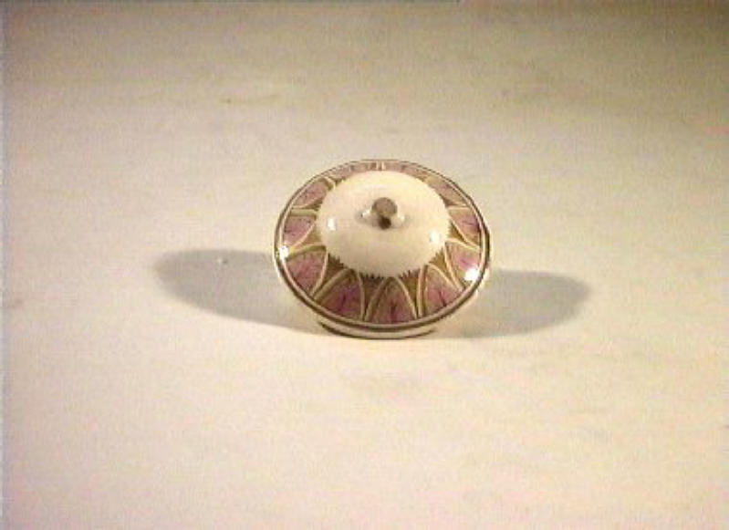 motivi decorativi vegetali (coperchietto) - manifattura Del Vecchio (sec. XIX)