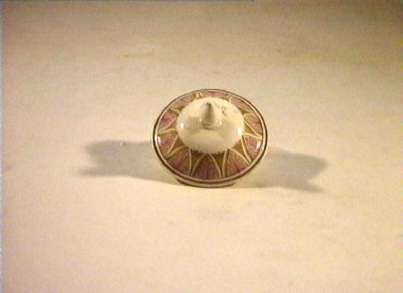 motivi decorativi vegetali (coperchietto) - manifattura Del Vecchio (sec. XIX)