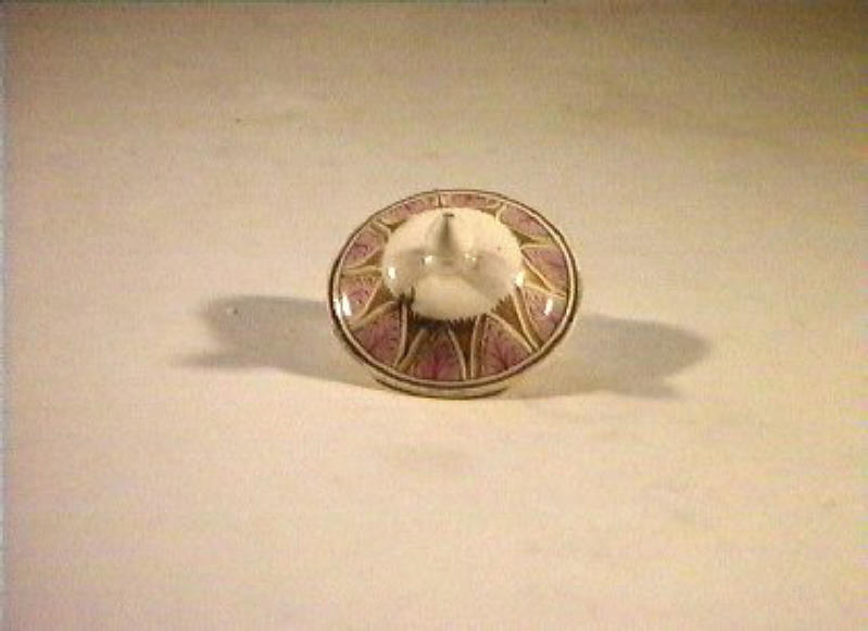 motivi decorativi vegetali (coperchietto) - manifattura Del Vecchio (sec. XIX)