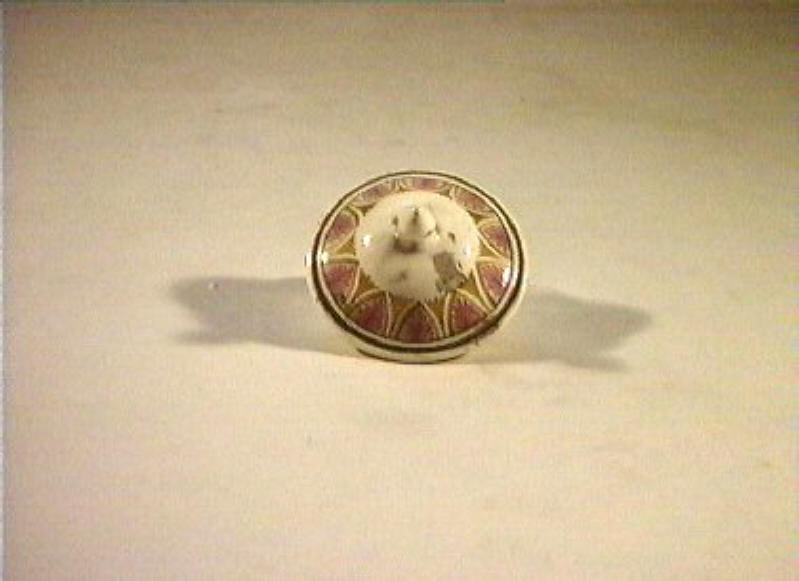 motivi decorativi vegetali (coperchietto) - manifattura Del Vecchio (sec. XIX)