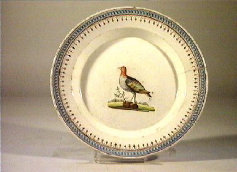 motivi decorativi vegetali e animali (piatto) - manifattura Del Vecchio (sec. XIX)