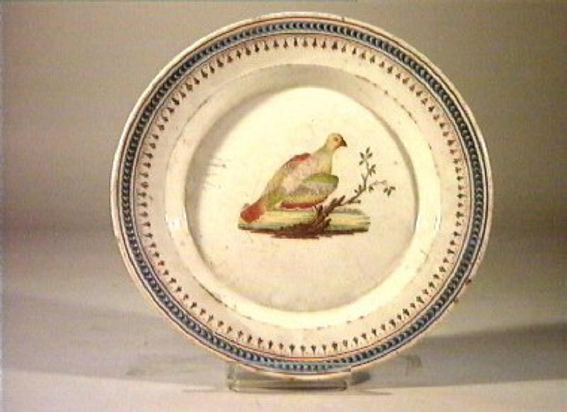 motivi decorativi vegetali e animali (piatto) - manifattura Del Vecchio (sec. XIX)