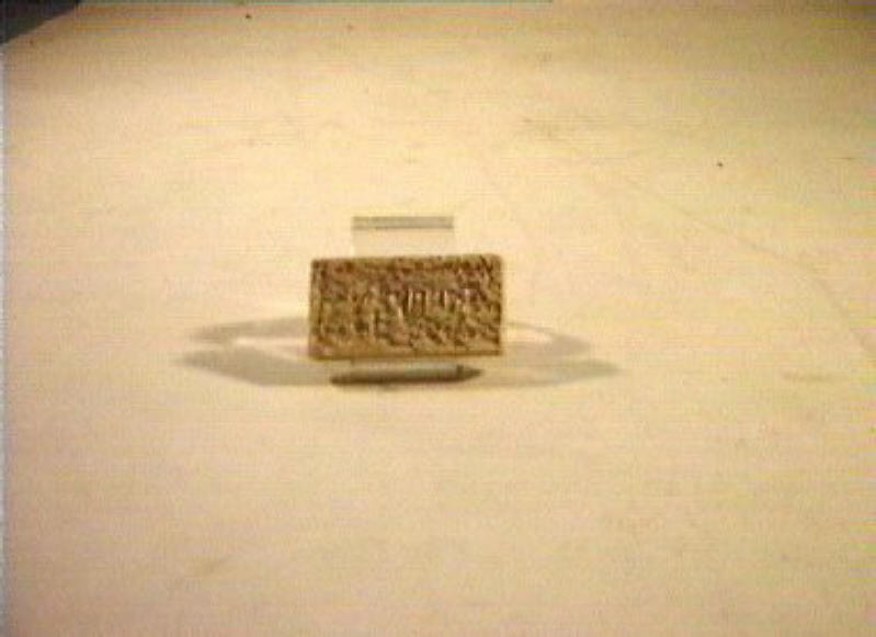 motivi decorativi (coperchio) - produzione orientale (sec. XIX)