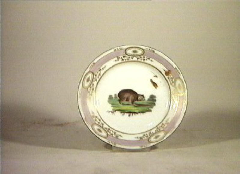 motivi decorativi vegetali e animali (piatto) - Real Fabbrica di Napoli (secc. XVIII/ XIX)