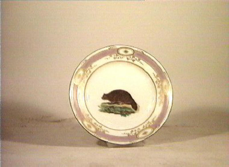 motivi decorativi vegetali e animali (piatto) - Real Fabbrica di Napoli (secc. XVIII/ XIX)