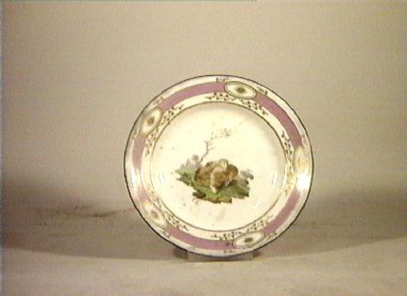 motivi decorativi vegetali e animali (piatto) - Real Fabbrica di Napoli (secc. XVIII/ XIX)