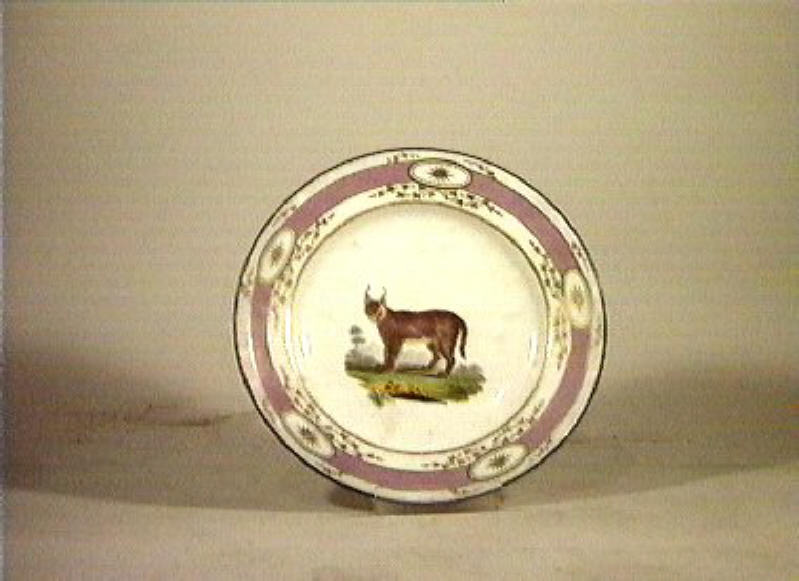 motivi decorativi vegetali e animali (piatto) - Real Fabbrica di Napoli (secc. XVIII/ XIX)