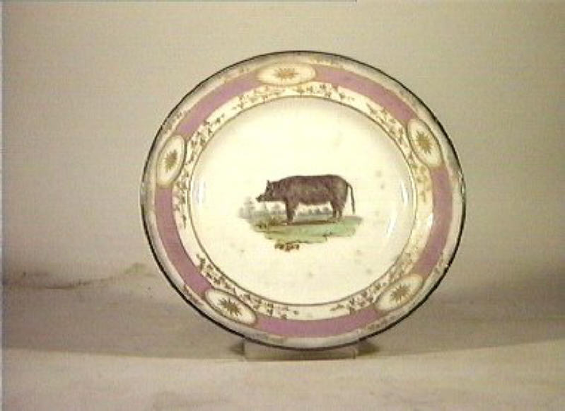 motivi decorativi vegetali e animali (piatto) - manifattura Poulard Prad (sec. XIX)