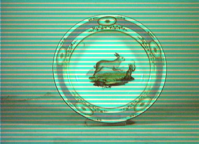 motivi decorativi vegetali e animali (piatto) - Real Fabbrica di Napoli (secc. XVIII/ XIX)