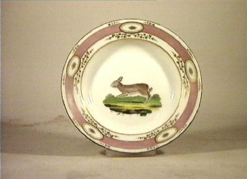 motivi decorativi vegetali e animali (piatto) - Real Fabbrica di Napoli (secc. XVIII/ XIX)