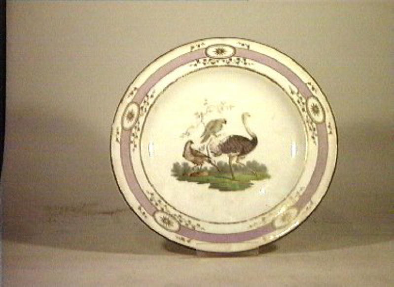 motivi decorativi vegetali e animali (piatto da portata) - Real Fabbrica di Napoli (secc. XVIII/ XIX)