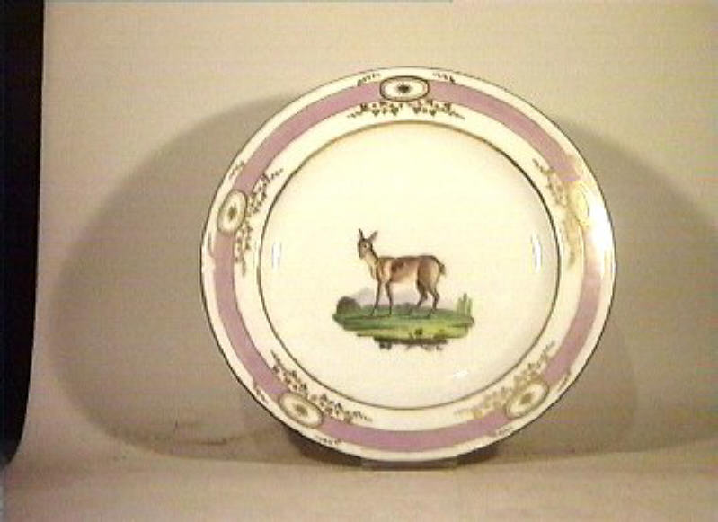 motivi decorativi vegetali e animali (piatto da portata) - Real Fabbrica di Napoli (secc. XVIII/ XIX)