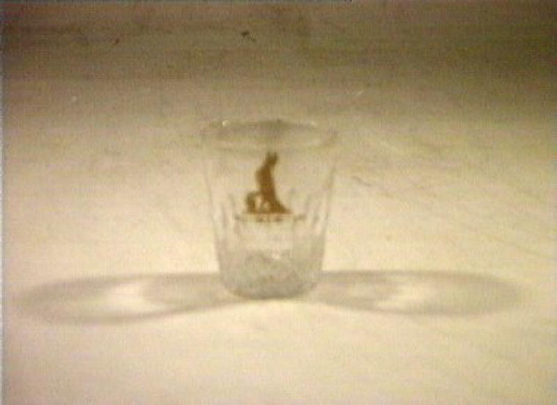 bicchiere - bottega italiana (sec. XIX)