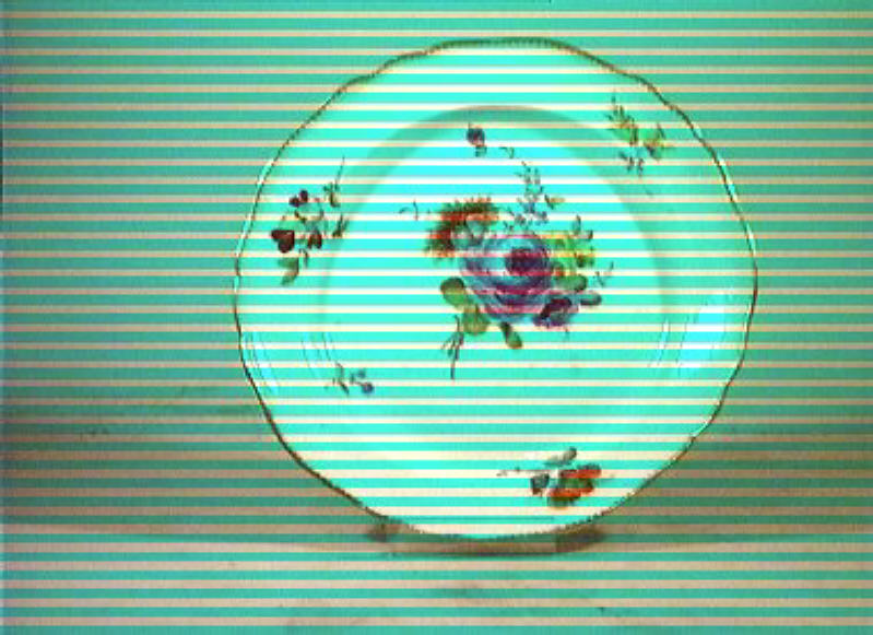 motivi decorativi floreali (piatto) - manifattura di Meissen (sec. XVIII)