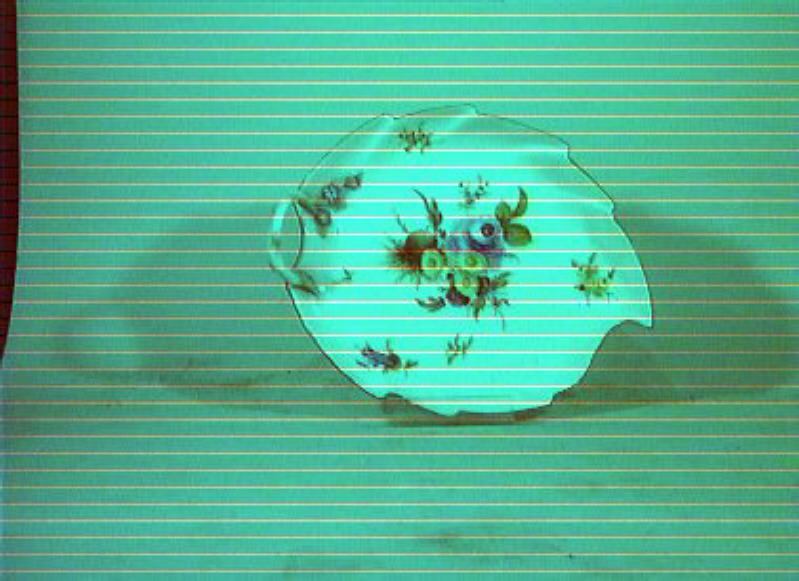 motivi decorativi floreali (piatto da portata) - manifattura di Meissen (sec. XVIII)