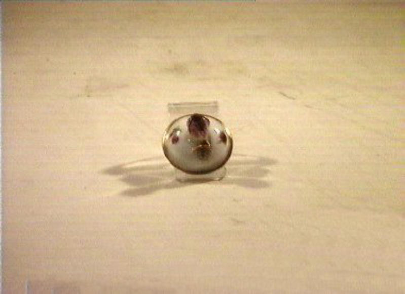 motivi decorativi floreali (coperchio) - manifattura di Meissen (sec. XVIII)