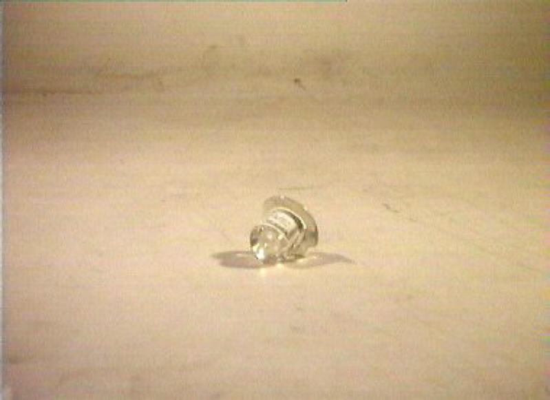 motivi decorativi floreali (coperchio) - bottega italiana (seconda metà sec. XIX)