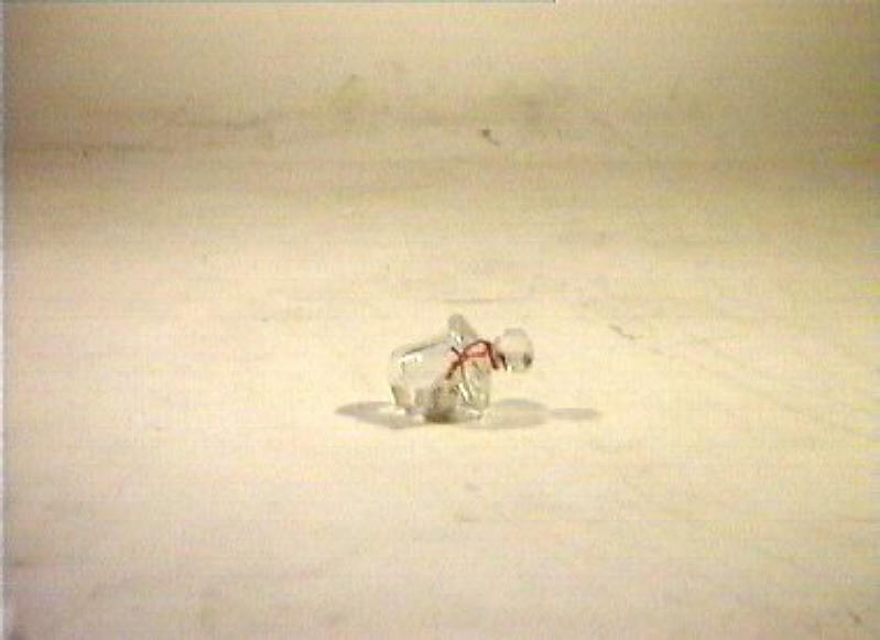 motivi decorativi floreali (coperchio) - bottega italiana (seconda metà sec. XIX)