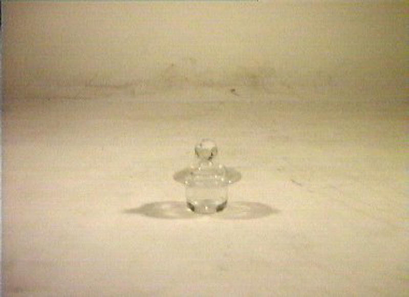 motivi decorativi floreali (coperchio) - bottega italiana (seconda metà sec. XIX)