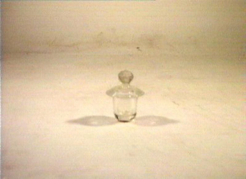 motivi decorativi floreali (coperchio) - bottega italiana (seconda metà sec. XIX)