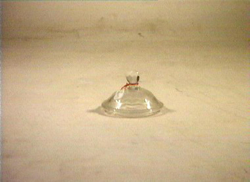 motivi decorativi floreali (coperchio) - bottega italiana (seconda metà sec. XIX)