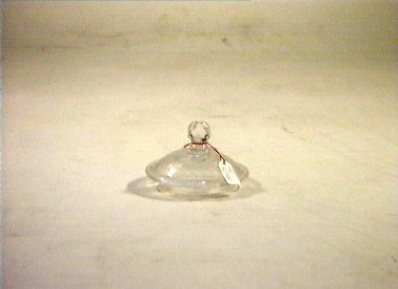 motivi decorativi floreali (coperchio) - bottega italiana (sec. XIX)