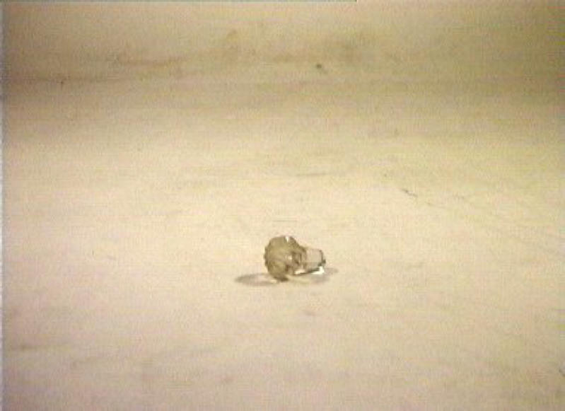 tappo - bottega italiana (sec. XIX)