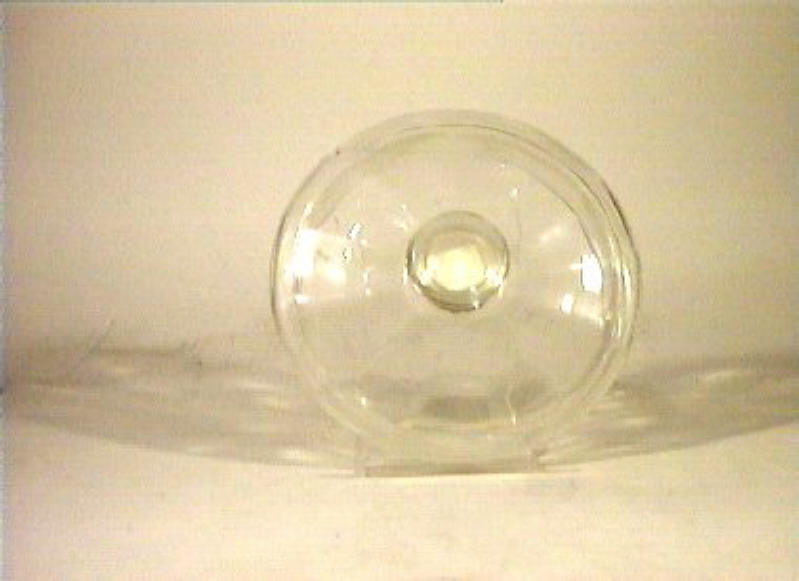 coperchio - bottega italiana (sec. XIX)