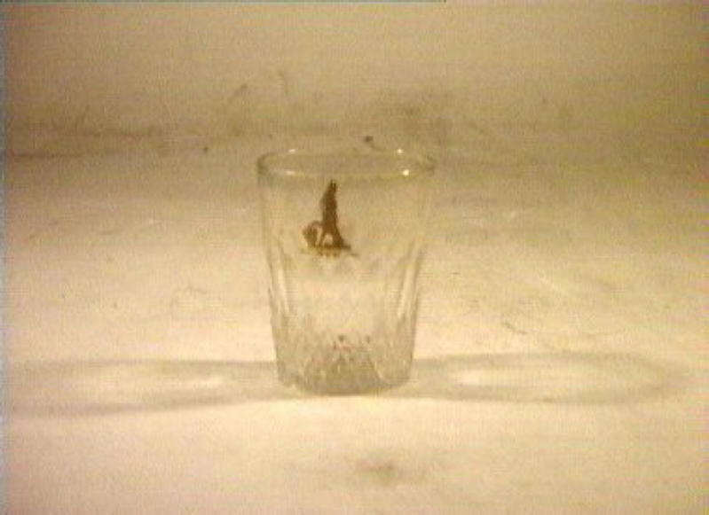 bicchiere - bottega italiana (sec. XIX)