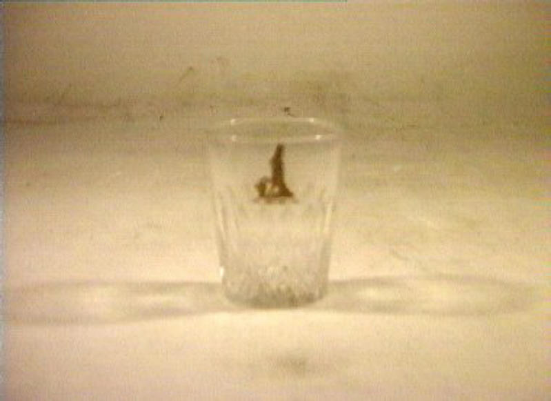 bicchiere - bottega italiana (sec. XIX)