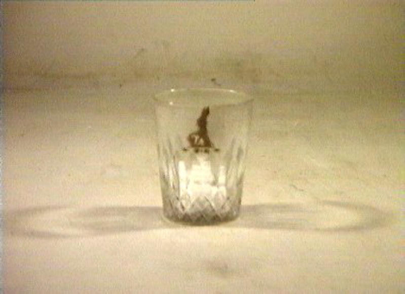 bicchiere - bottega italiana (sec. XIX)