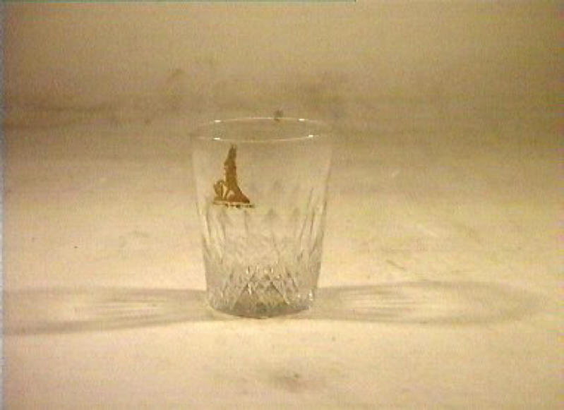 bicchiere - bottega italiana (sec. XIX)