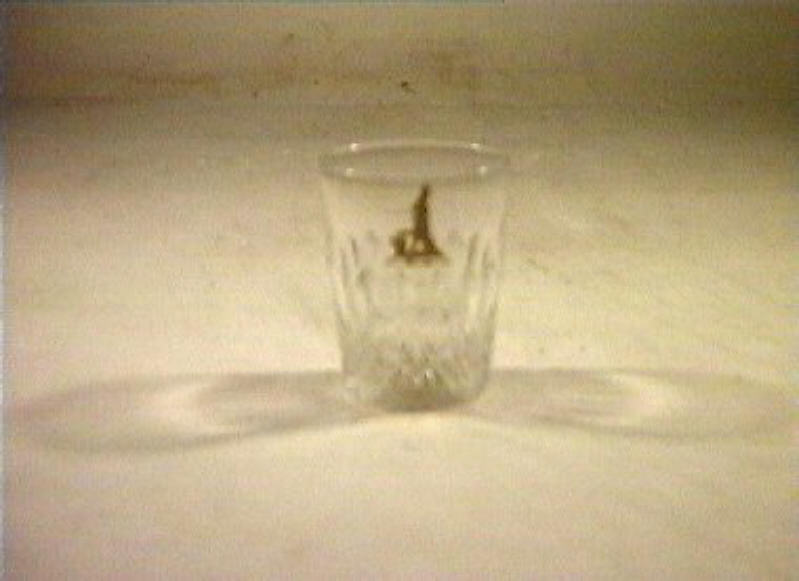 bicchiere - bottega italiana (sec. XIX)