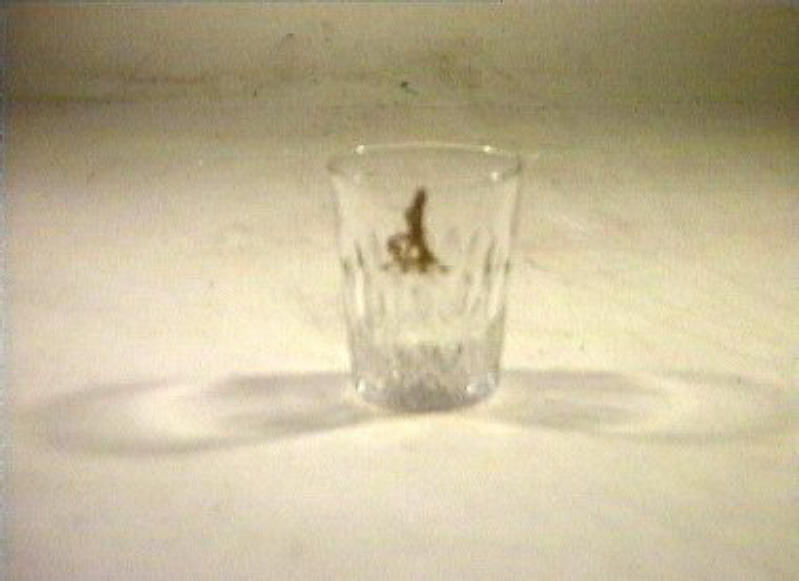 bicchiere - bottega italiana (sec. XIX)