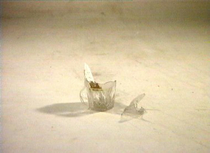 bicchiere - bottega italiana (sec. XIX)