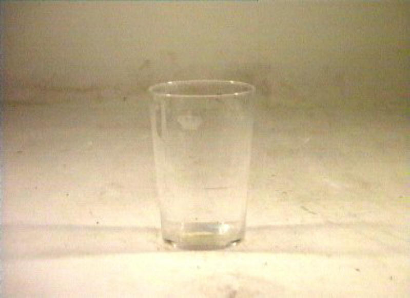 bicchiere - bottega italiana (sec. XIX)