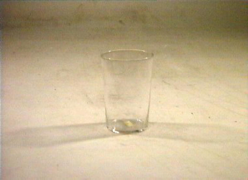 bicchiere - bottega italiana (sec. XIX)