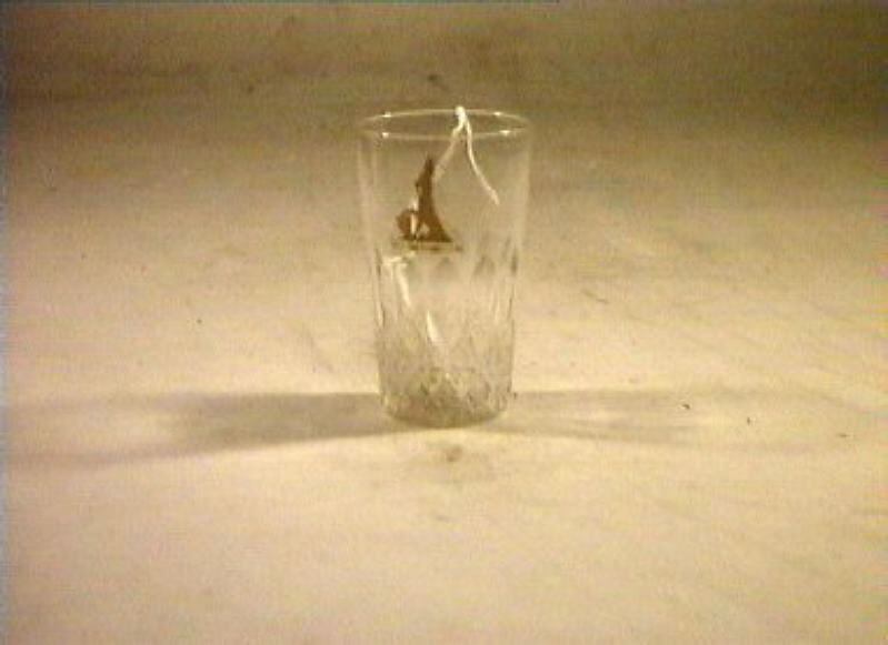 bicchiere - bottega italiana (sec. XIX)