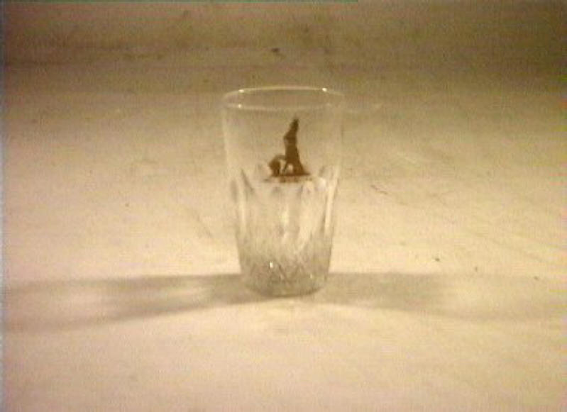 bicchiere - bottega italiana (sec. XIX)