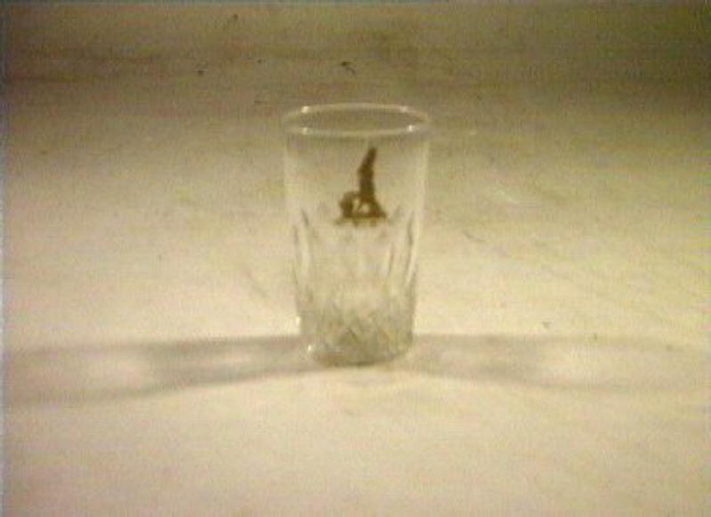 bicchiere - bottega italiana (sec. XIX)