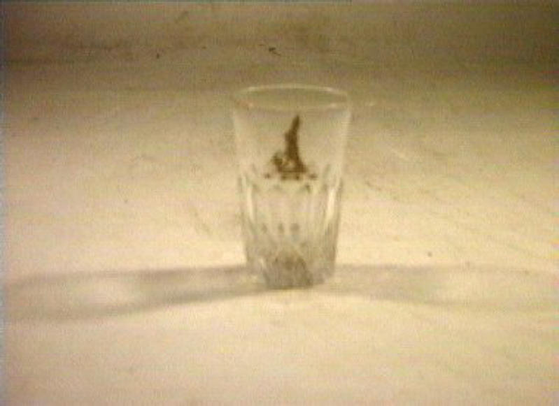 bicchiere - bottega italiana (sec. XIX)