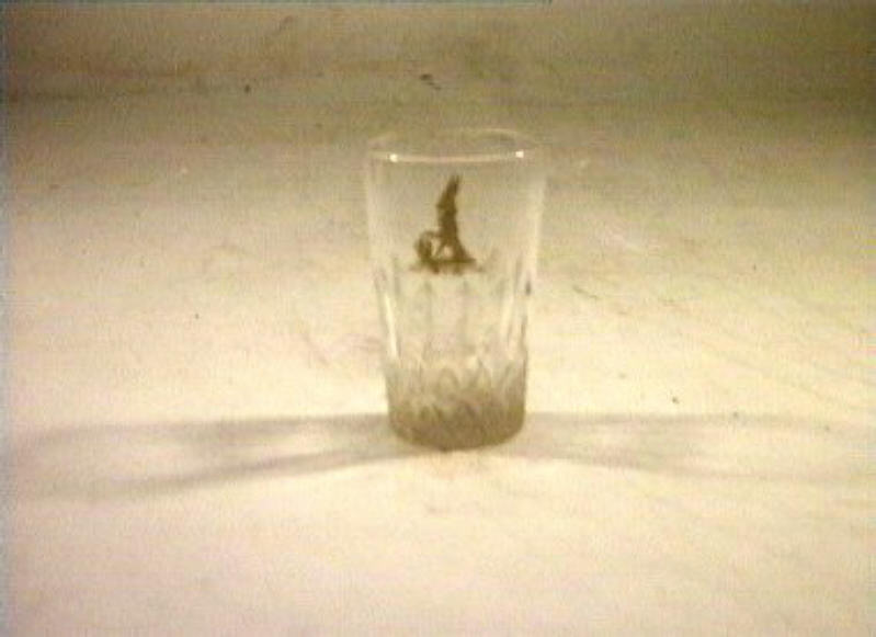 bicchiere - bottega italiana (sec. XIX)