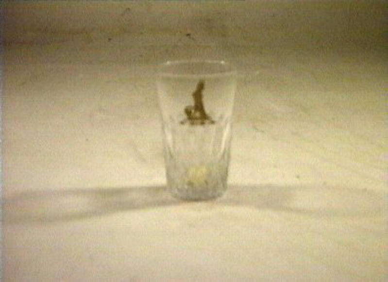 bicchiere - bottega italiana (sec. XIX)