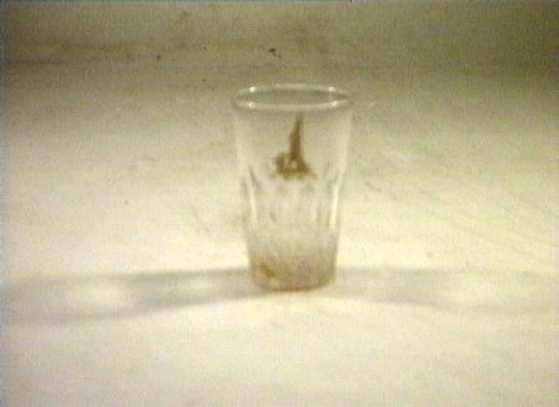 bicchiere - bottega italiana (sec. XIX)