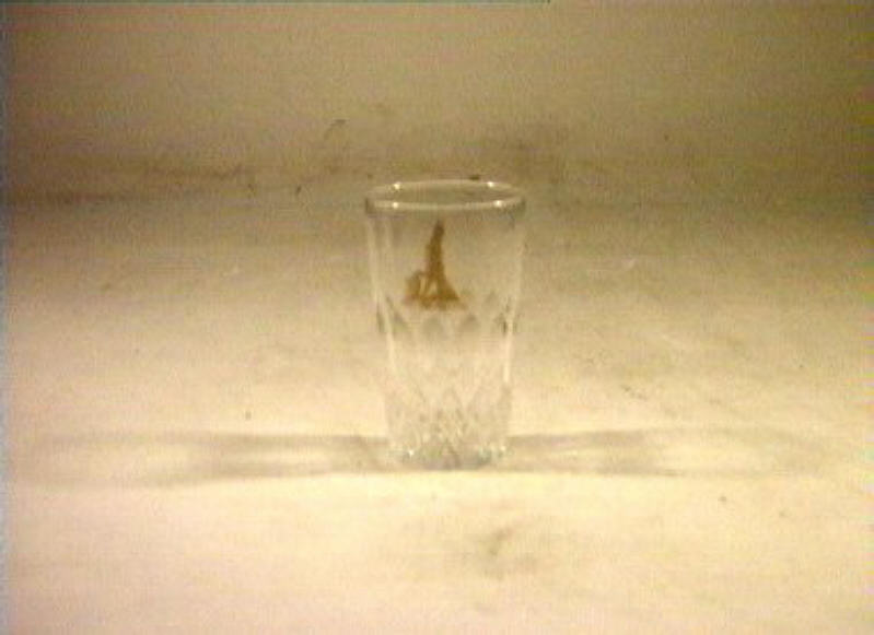 bicchiere - bottega italiana (sec. XIX)