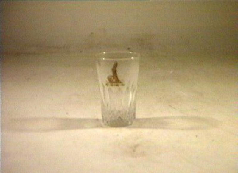 bicchiere - bottega italiana (sec. XIX)