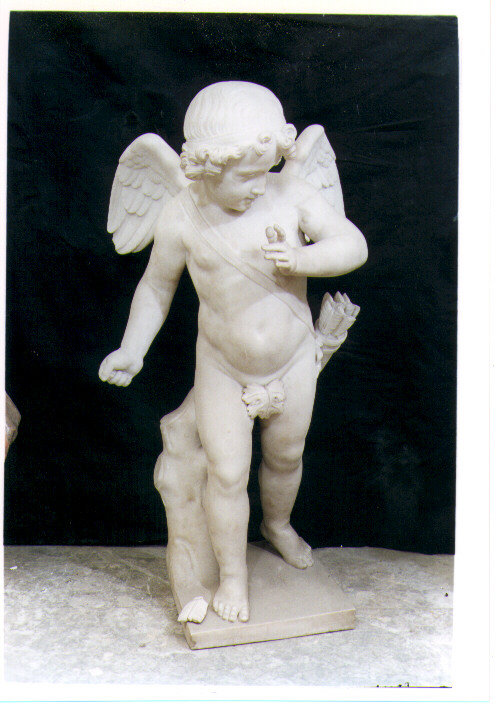 putto alato (statua) di Citarelli Francesco (prima metà sec. XIX)