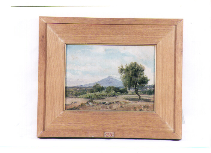 paesaggio (dipinto) di Franceschini Vincenzo (sec. XIX)