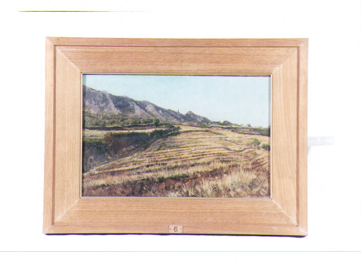 lo strame, paesaggio rurale (dipinto) di Carrillo Achille (sec. XIX)