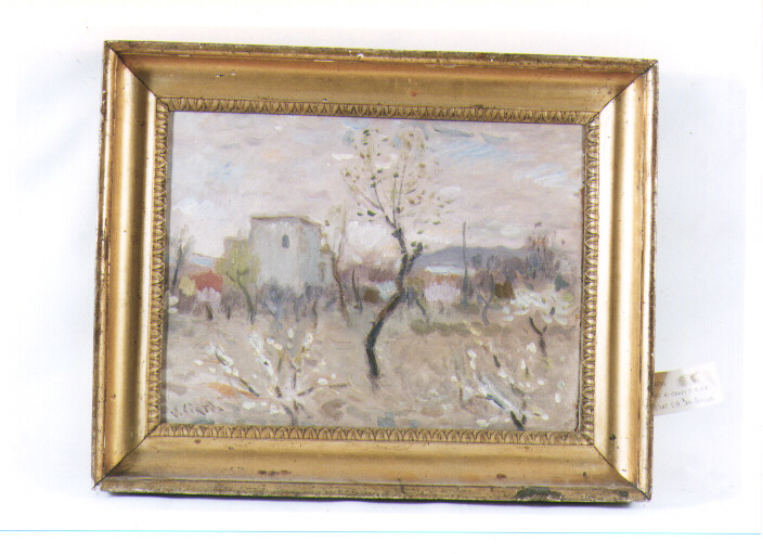 mattino ai Campi Flegrei, paesaggio (dipinto) di Ciardo Vincenzo (metà sec. XX)